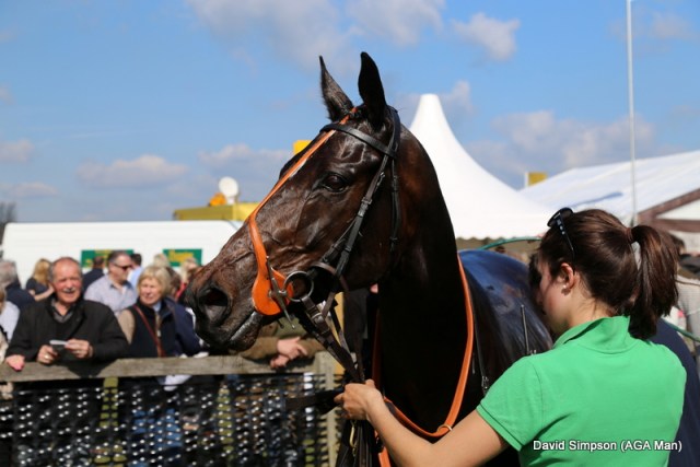 Jetnova, a star for the Smith-Maxwell family this season