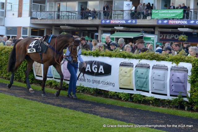 I was rather pleased with my new AGA branding, and delighted that the wonderful team at Stratford Racecourse allowed me to leave it there for the Saturday evening as well!