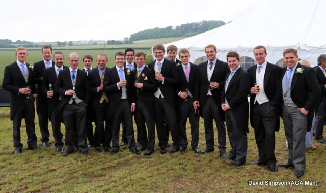 What a handsome bunch, they'll all be snapped up before too long!