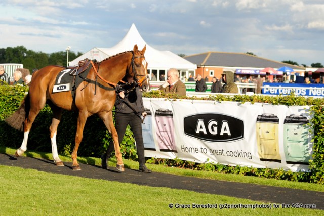 Another photo of my new branding... I like it!