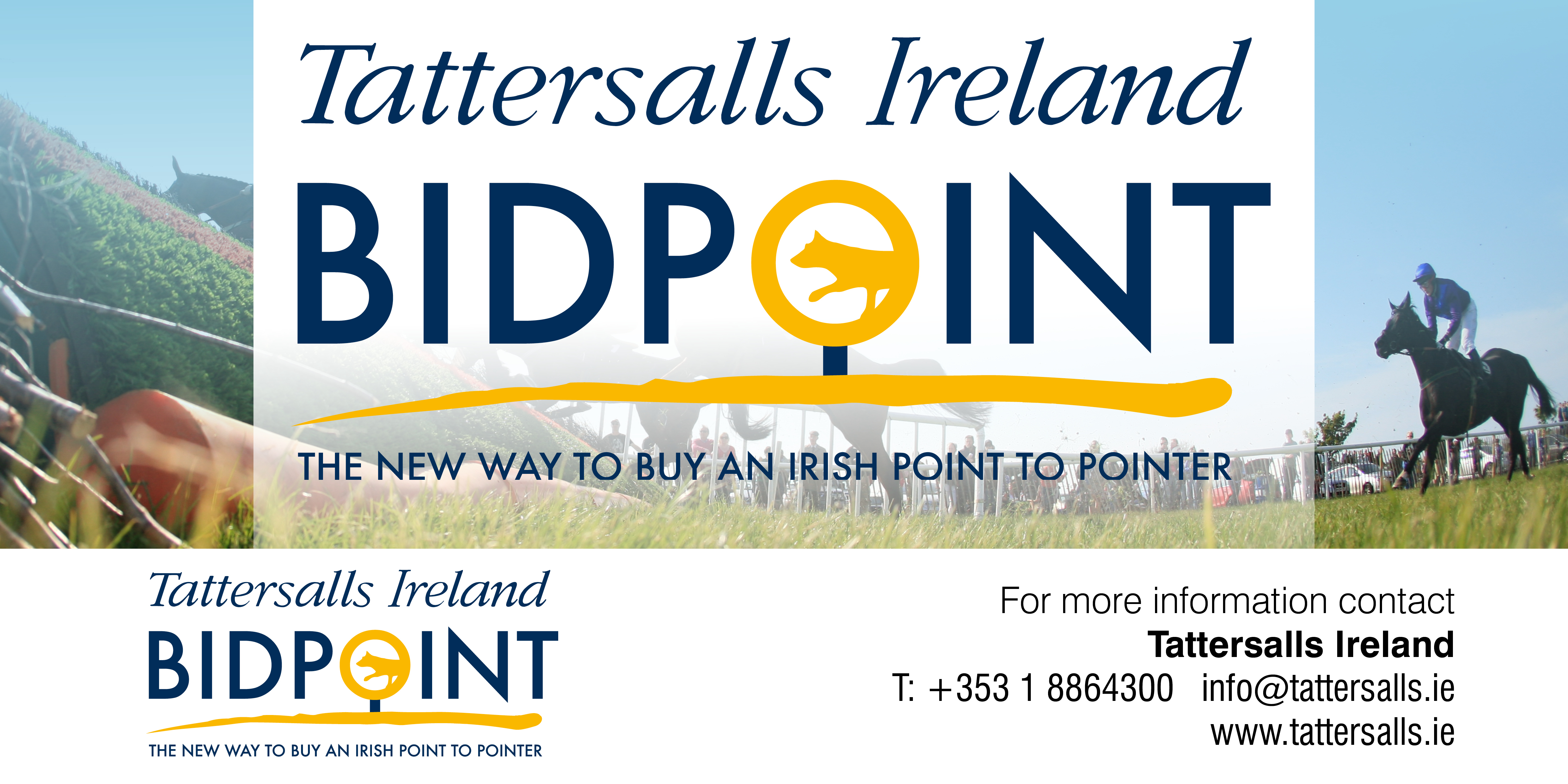 BIDPOINT - the new way to buy an Irish Point-to-Pointer